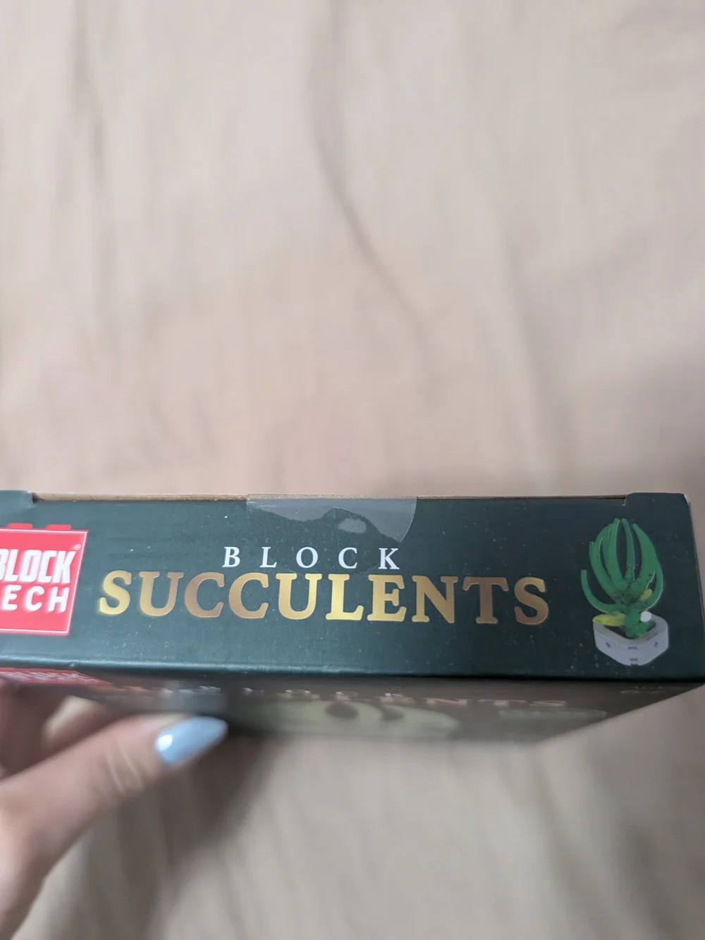 Succulent Block Kit (New)